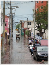 Enlarge photo 14