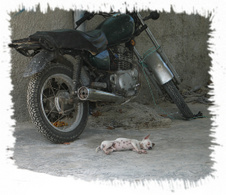 Enlarge photo 4