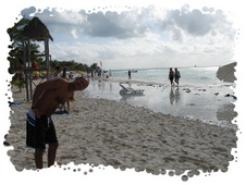 Enlarge photo 3