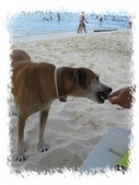 Enlarge photo 50