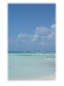 Enlarge photo 48