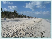Enlarge photo 39