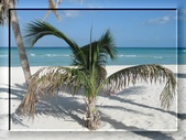 Enlarge photo 45