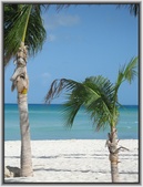 Enlarge photo 42