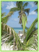 Enlarge photo 43