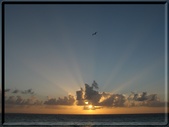 Enlarge photo 60