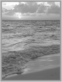 Enlarge photo 59