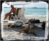 Enlarge photo 51