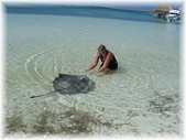 Enlarge photo 29