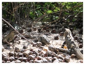 Enlarge photo 25