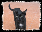 Enlarge photo 32