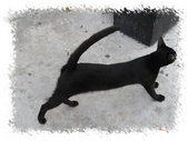 Enlarge photo 33