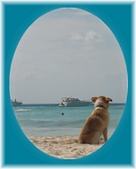 Enlarge photo 30