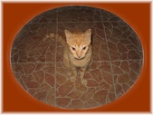 Enlarge photo 36