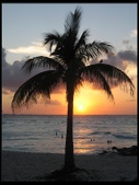 Enlarge photo 34