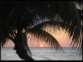 Enlarge photo 35