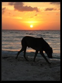 Enlarge photo 41