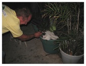 Enlarge photo 21