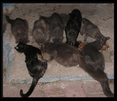 Enlarge photo 16