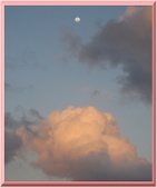 Enlarge photo 37