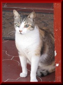 Enlarge photo 19