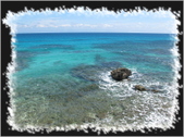 Enlarge photo 53