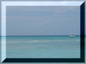 Enlarge photo 37