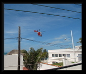 Enlarge photo 57