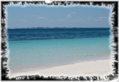 Enlarge photo 81