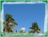 Enlarge photo 80