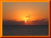 Enlarge photo 77