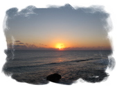 Enlarge photo 78