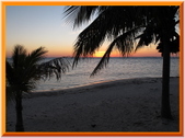 Enlarge photo 84