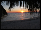 Enlarge photo 83