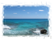 Enlarge photo 79