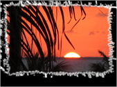 Enlarge photo 44