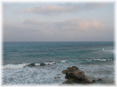 Enlarge photo 80