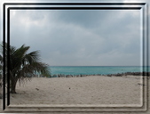 Enlarge photo 77
