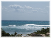 Enlarge photo 39