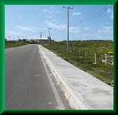 Enlarge photo 40