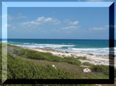 Enlarge photo 43