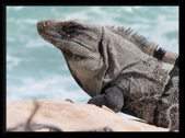 Enlarge photo 44
