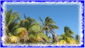 Enlarge photo 47