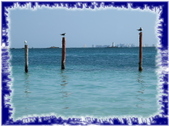 Enlarge photo 48