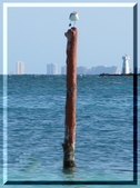 Enlarge photo 49