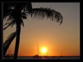 Enlarge photo 53
