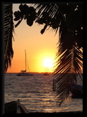 Enlarge photo 54
