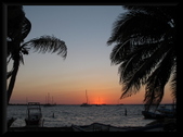 Enlarge photo 55