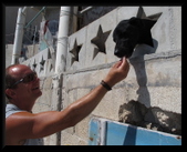 Enlarge photo 62