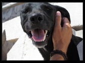 Enlarge photo 63